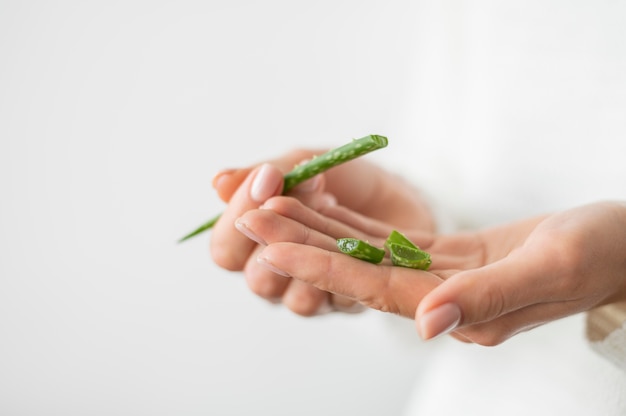 Photo gratuit gros plan de l'aloe vera