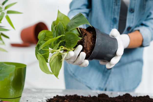 Photo gratuite gros plan, femme, planter, fleurs