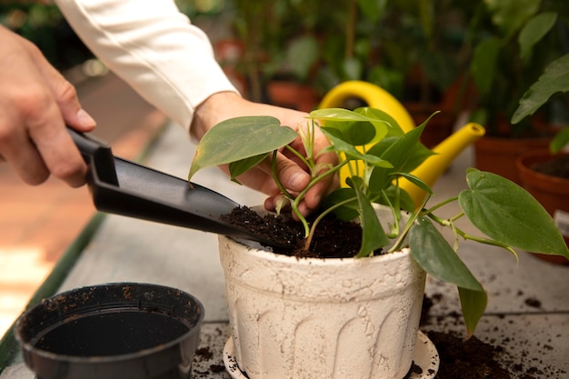 Photo gratuite gros plan sur les mains de jardinage