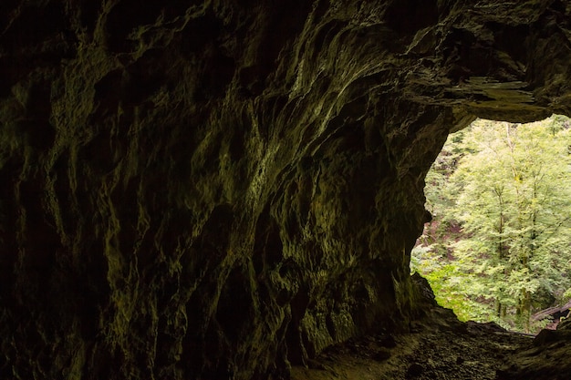 Photo gratuite grotte de muzeva hizica de l'intérieur en vue d'une forêt à skrad en croatie