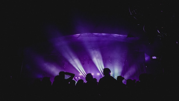 Photo gratuite groupe de personnes près de la scène au concert