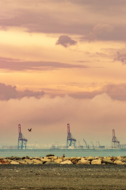 Grues dans un port