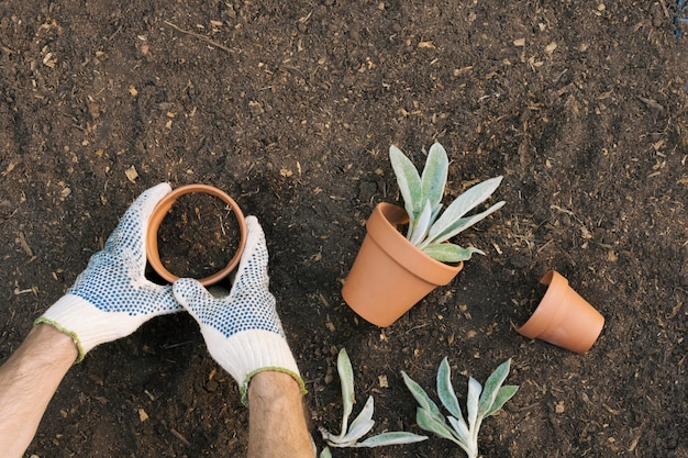 Photo gratuite homme de la culture en gants planter des semis