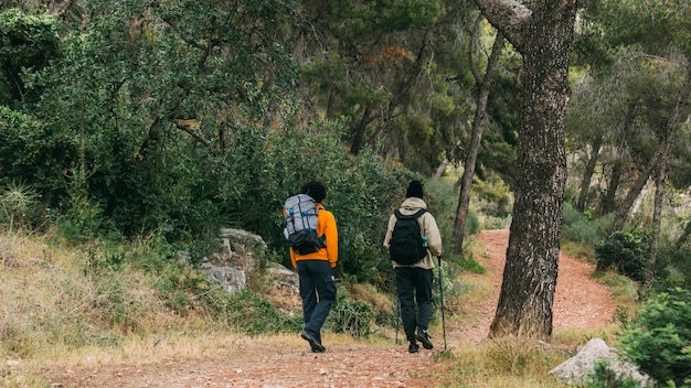 Hommes, trekking, dans, nature