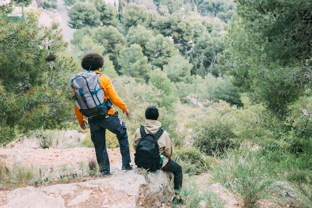 Hommes, trekking, dans, nature