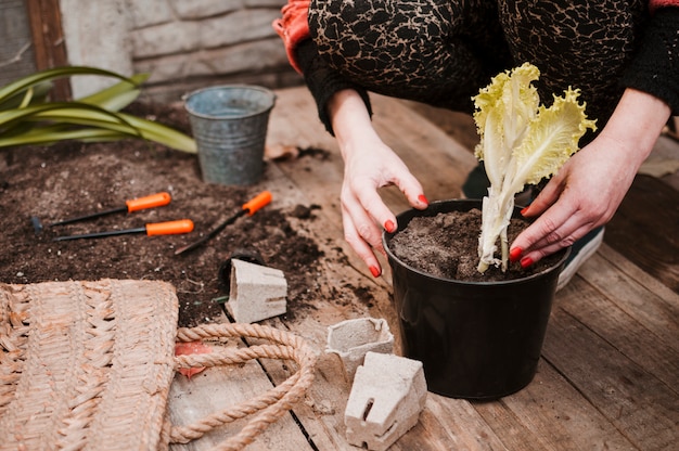 Photo gratuite jardinier