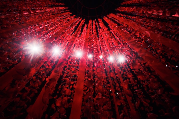 Photo gratuit les lampes blanches brillent à travers les fils avec des pétales de rose et des rubans rouges