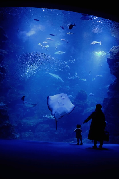 Photo gratuit mère et fils à l'aquarium