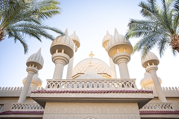 Photo gratuit mosquée islamique traditionnelle parmi les palmiers par temps ensoleillé