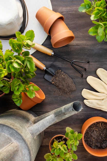 Photo gratuite outils de jardinage de plantes bouchent