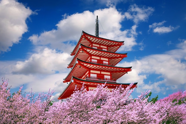 Photo gratuite pagode rouge et fleurs de cerisier au printemps, japon.