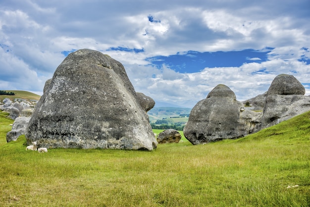 Photo gratuit paire de moutons près de formations rocheuses dans les prairies dans le bassin de waitaki près de oamaru en nouvelle-zélande