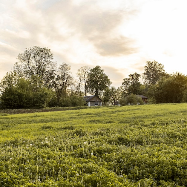 Paysage de campagne agricole