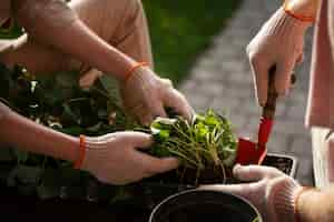 Photo gratuite personnes à angle élevé prenant soin des plantes