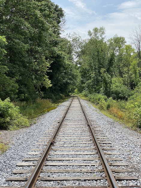 Photo gratuite plan vertical de rails de train entourés d'arbres