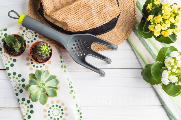 Photo gratuite plante en pot vive avec fourche de jardinage, chapeau sur la table