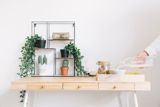 Photo gratuite plantes décoratives sur la table