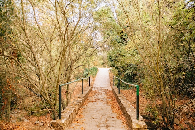 Photo gratuite pont en nature