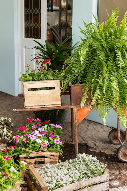 Photo gratuit pot de plantes avec arrosoir