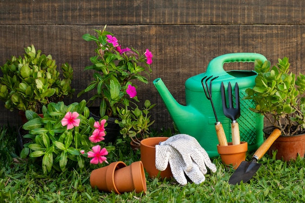 Photo gratuite pot de plantes avec arrosoir