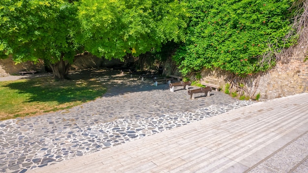 Photo gratuite prise de vue en grand angle d'un parc vide avec des arbres verts en fleurs sur les murs