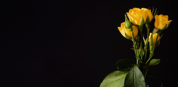 Roses jaunes dans un vase avec copie-espace