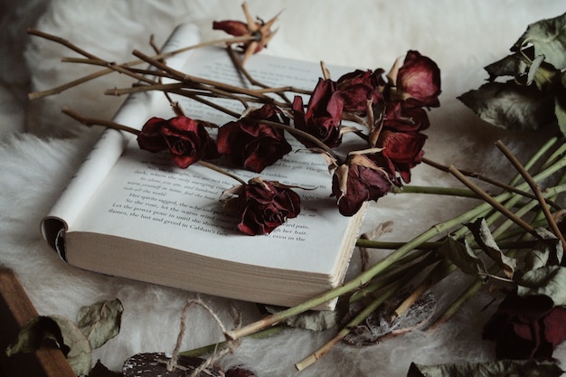 Photo gratuit roses sèches sur un livre ouvert sur la table sous les lumières