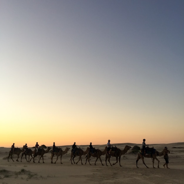 Photo gratuit sable voyage indien d&#39;aventure rajasthan