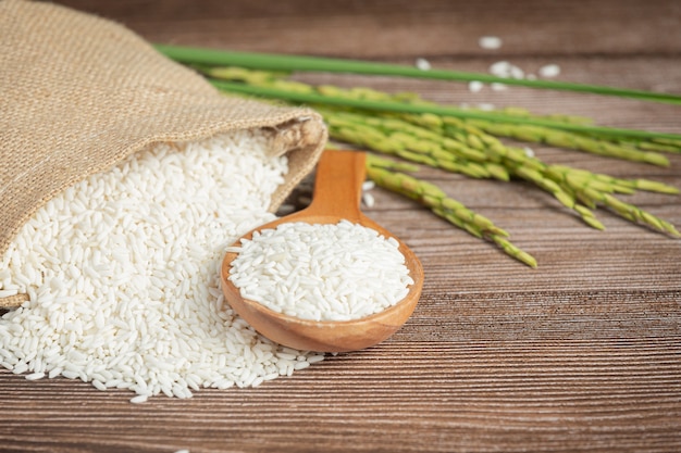 Photo gratuit sac de riz avec riz sur cuillère en bois et plant de riz