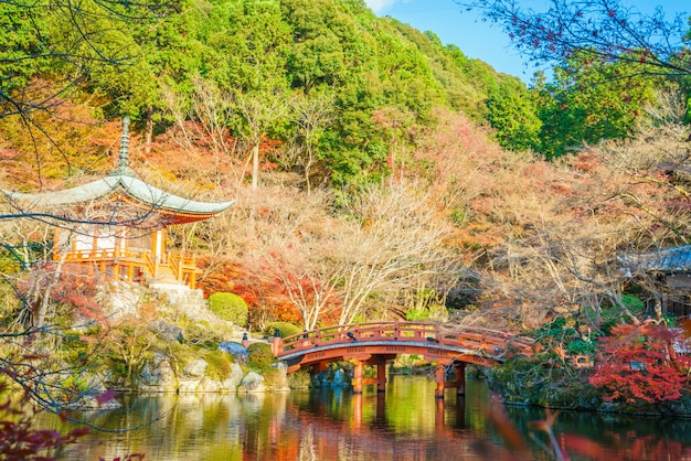 Photo gratuit temple daigo-ji à l&#39;automne, kyoto, japon