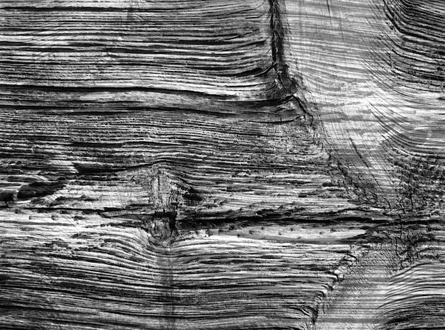 Photo gratuite texture en bois