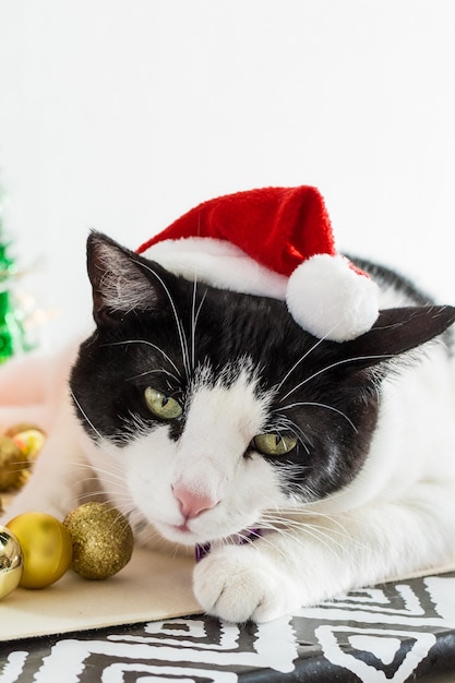 Photo gratuit tir vertical de chat blanc et noir avec chapeau de père noël de noël avec des ornements sur une table