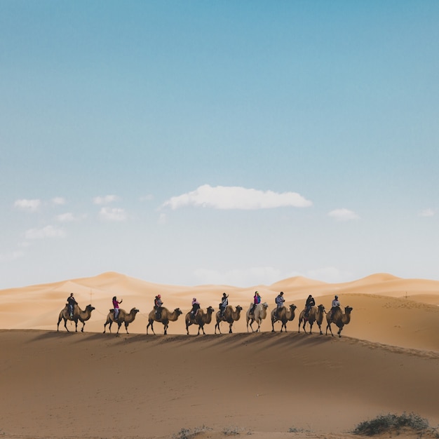 Photo gratuit tir vertical de personnes à dos de chameau sur une dune de sable dans le désert