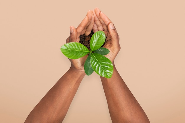 Photo gratuite l'usine de ventouses des mains sauve la campagne de l'environnement