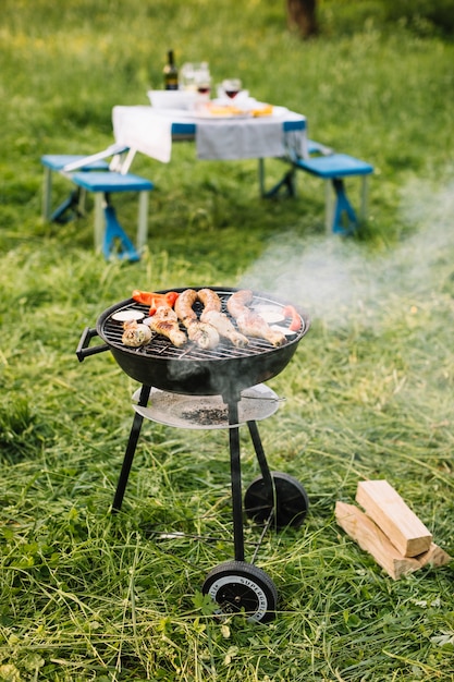 Photo gratuit viande sur le grill dans la nature