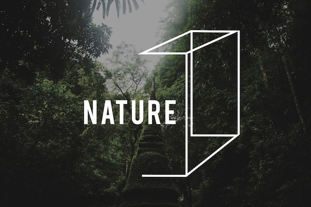 Photo gratuite voyage d'aventure destination nature exploration