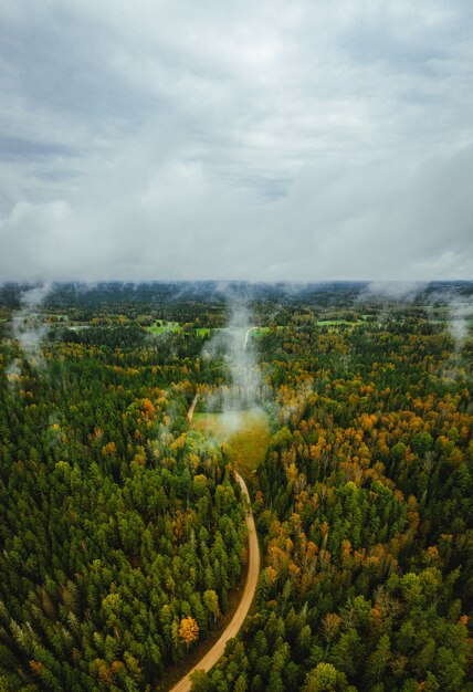 Vue aérienne d'une route à travers une forêt dense un jour d'automne