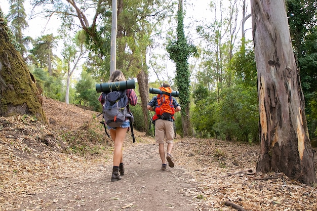 Photo gratuite vue arrière des randonneurs marchant sur un sentier montagneux. randonneurs caucasiens ou voyageur avec sacs à dos ayant voyage ensemble et randonnée en forêt. tourisme de randonnée, aventure et concept de vacances d'été