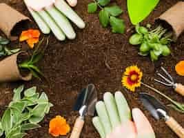 Photo gratuite vue de dessus des outils de jardinage et des plantes