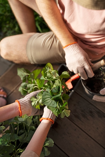 Photo gratuite vue de dessus des personnes prenant soin des plantes