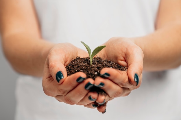 Photo gratuite vue de face des mains féminines tenant le sol et petite plante