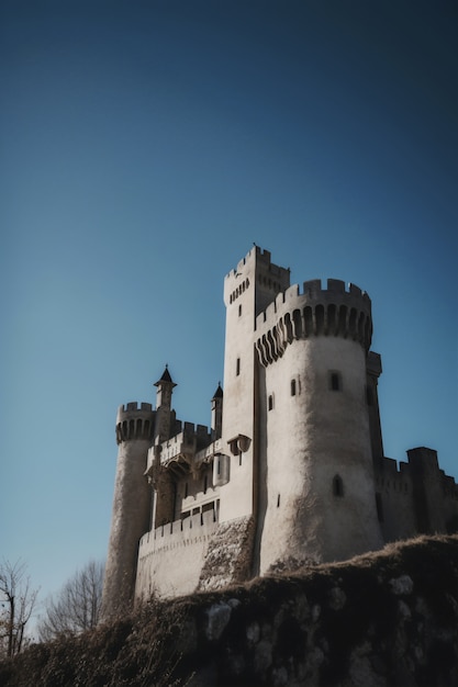 Photo gratuite vue sur l'imposant château avec paysage naturel