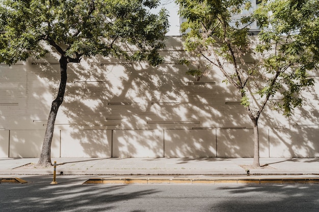 Photo gratuite vue de la rue de la ville avec des arbres