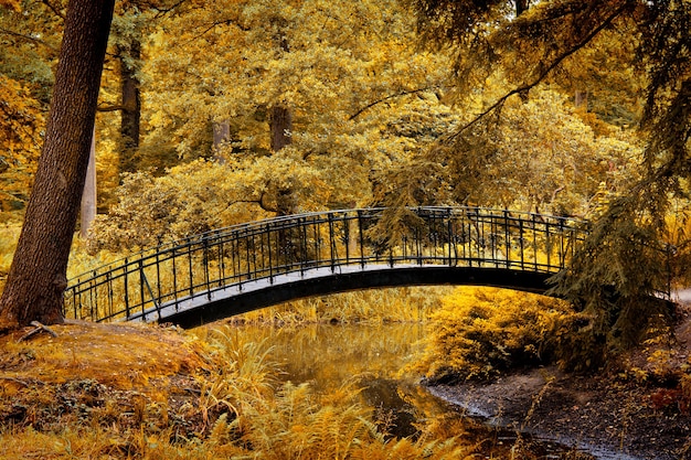 L'automne dans le parc.