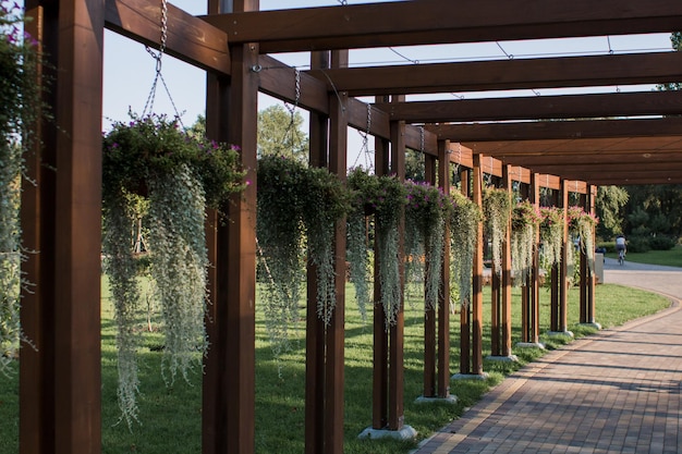 Photo belle arche en bois dans le parc en été