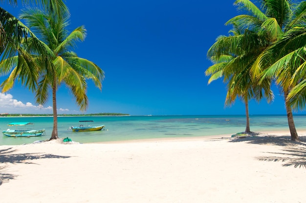 belle plage et mer tropicale