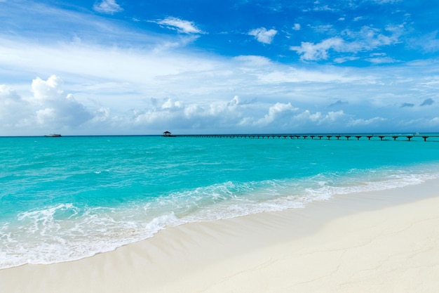 belle plage et mer tropicale