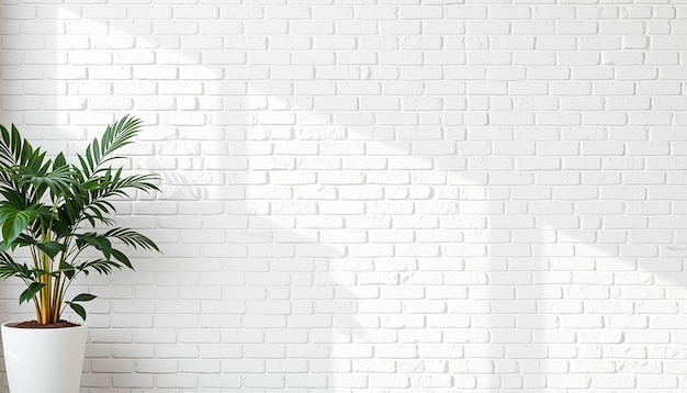 Photo un cadre serein avec la lumière du soleil créant une ombre sur un mur de briques blanches texturées