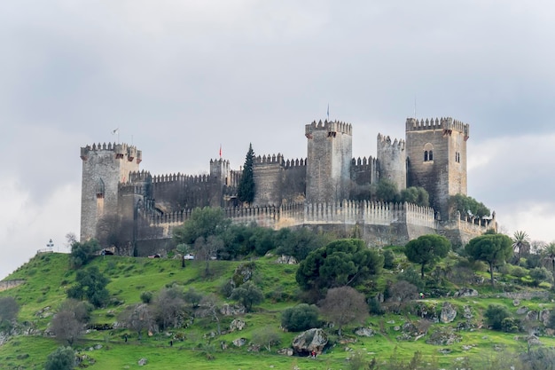 Château Almodovar del Rio à Cordoue Espagne