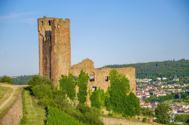 Château d'Ehrenfels sur le Rhin près de Ruedesheim